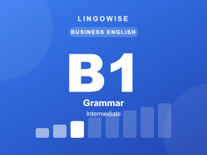 LingoWise Grammar B1 cover